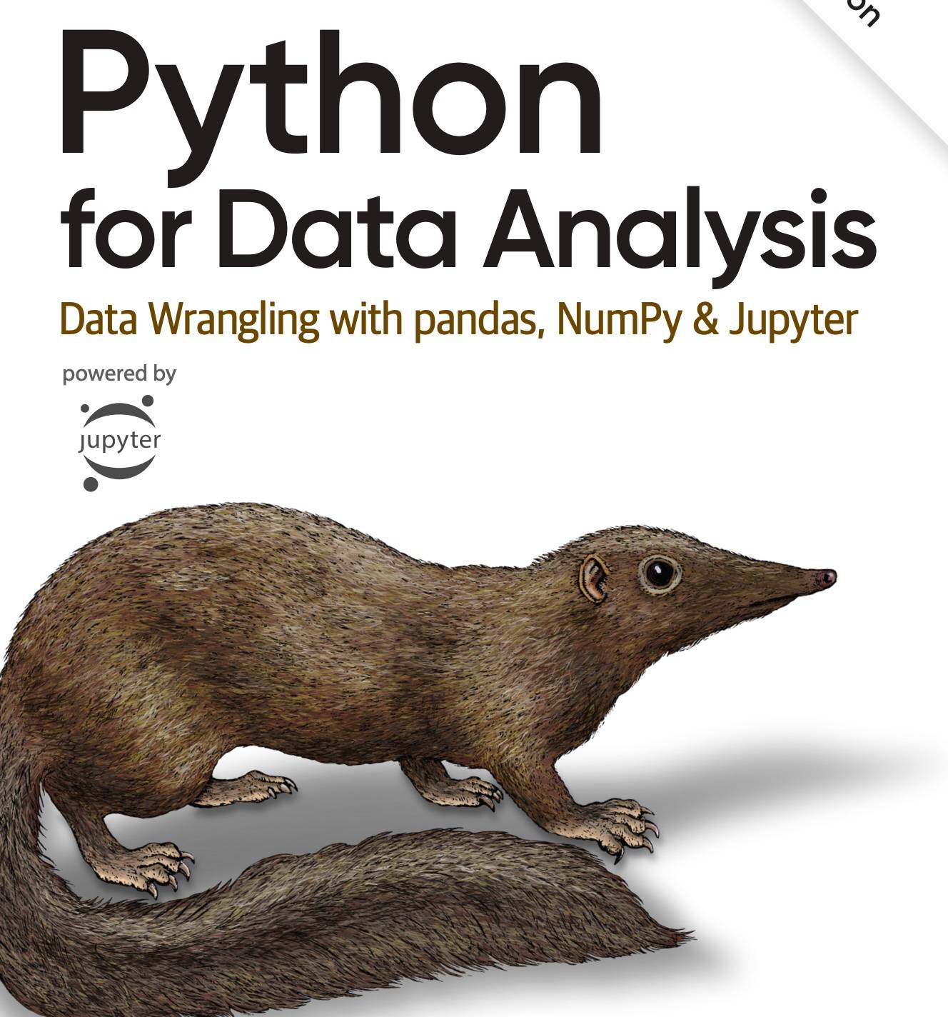 Python for Data Analysis(第三版 PDF/HTML版本 带源代码)